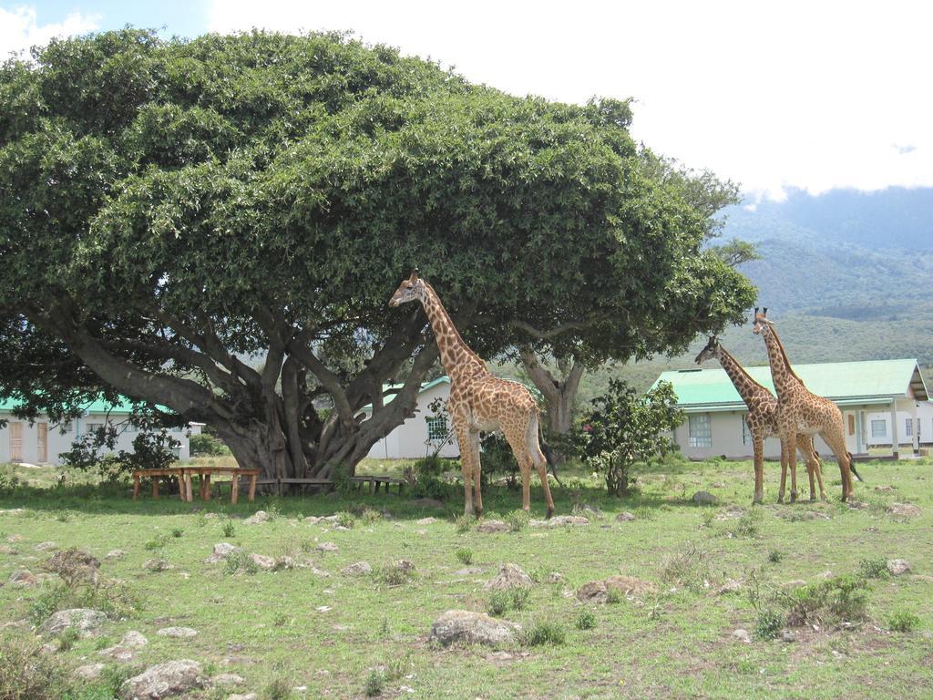 Nature Homes - Africa Amini Life Nkoanrua Luaran gambar