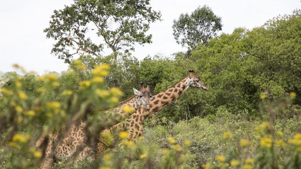 Nature Homes - Africa Amini Life Nkoanrua Luaran gambar
