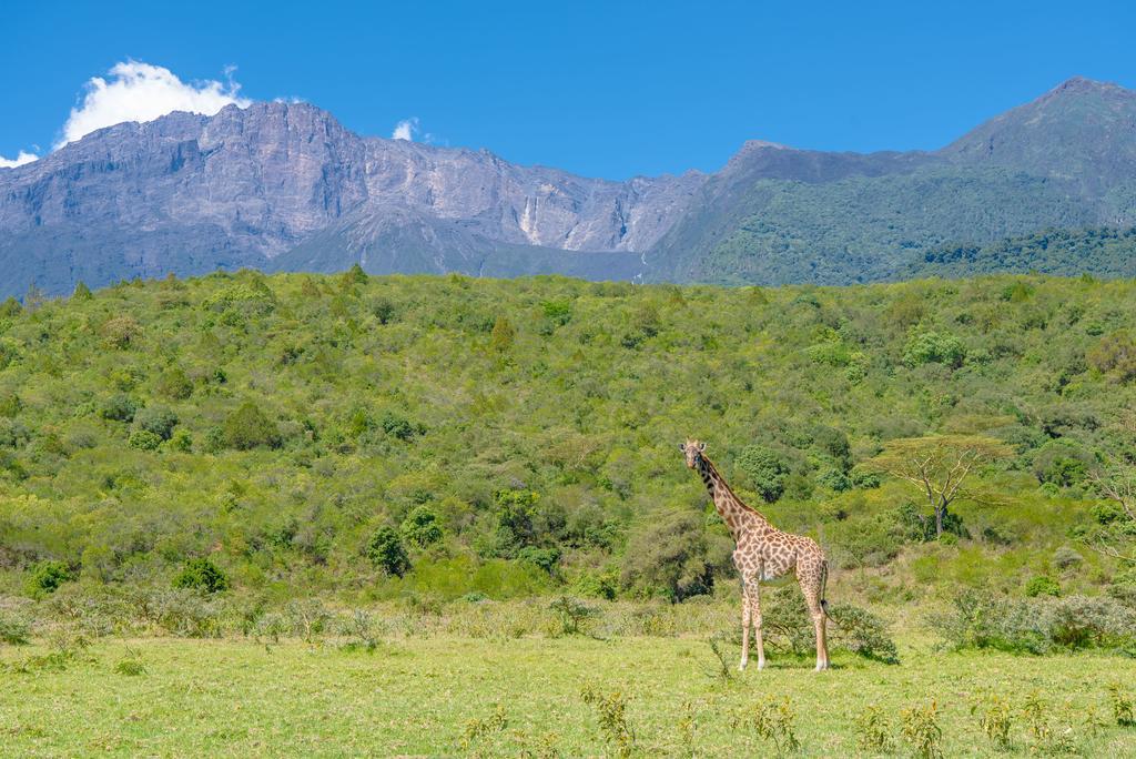 Nature Homes - Africa Amini Life Nkoanrua Luaran gambar