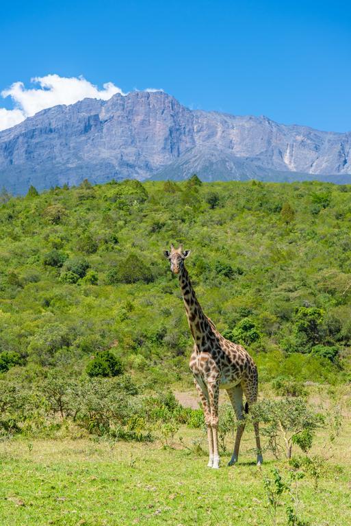 Nature Homes - Africa Amini Life Nkoanrua Luaran gambar